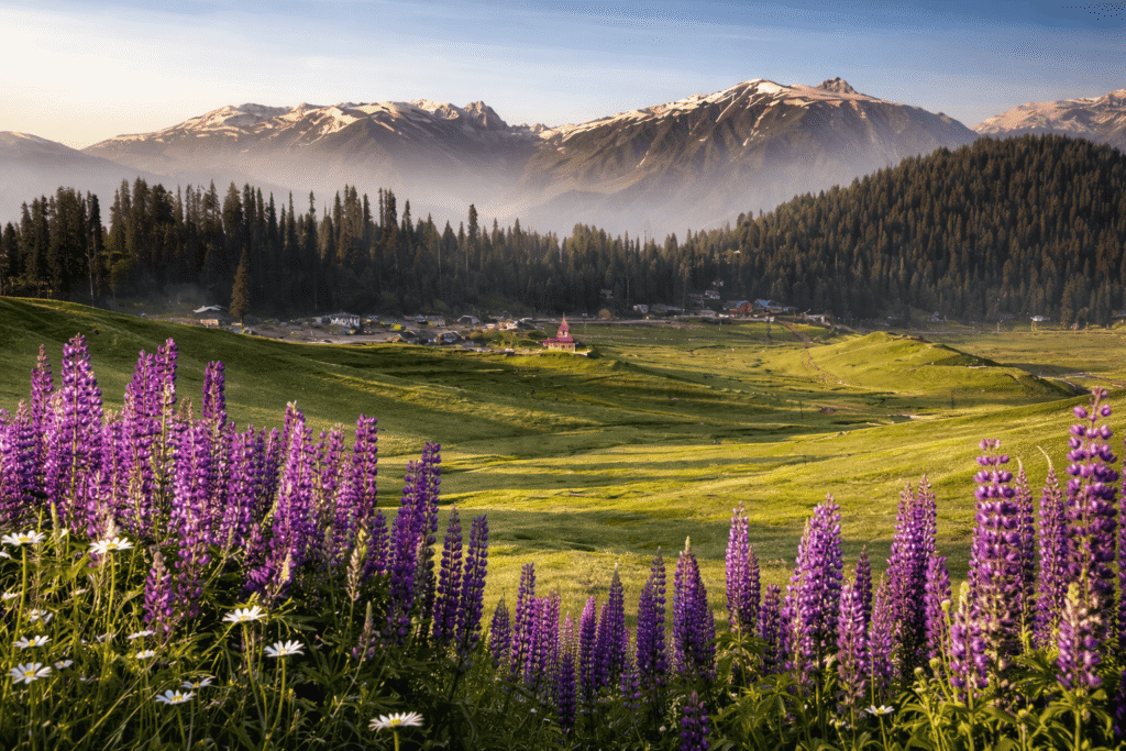 Gulmarg