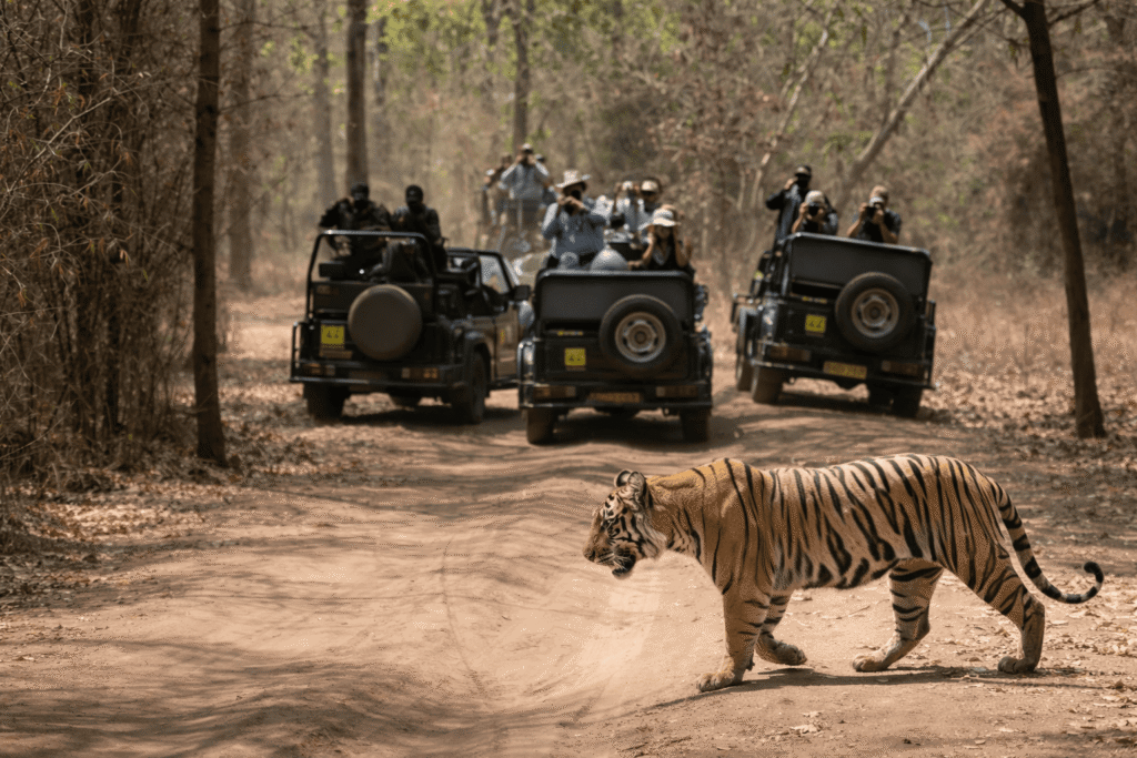 Jim Corbett National Park, Uttarakhand