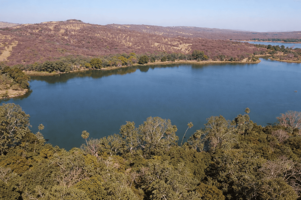 Ranthambore National Park, Rajasthan
