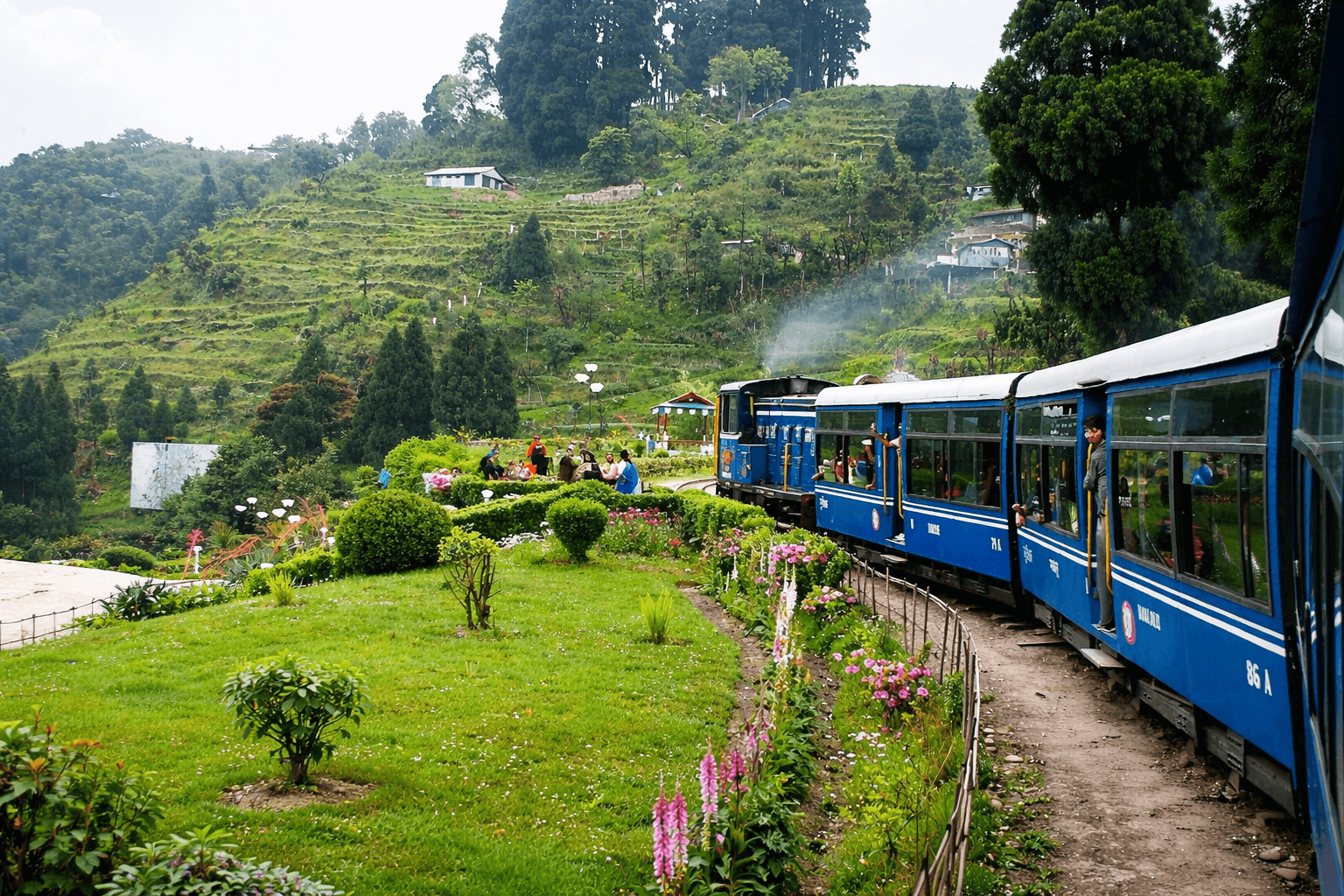 Vibrant Darjeeling Experience