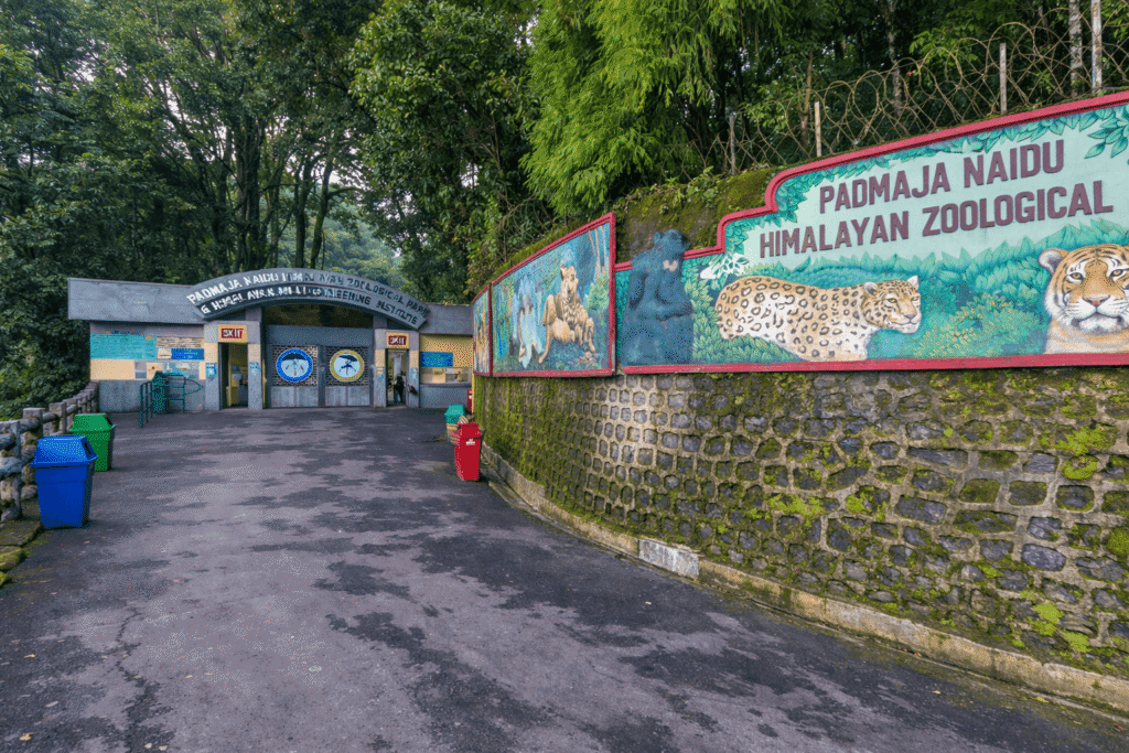Padmaja Naidu Himalayan Zoological Park