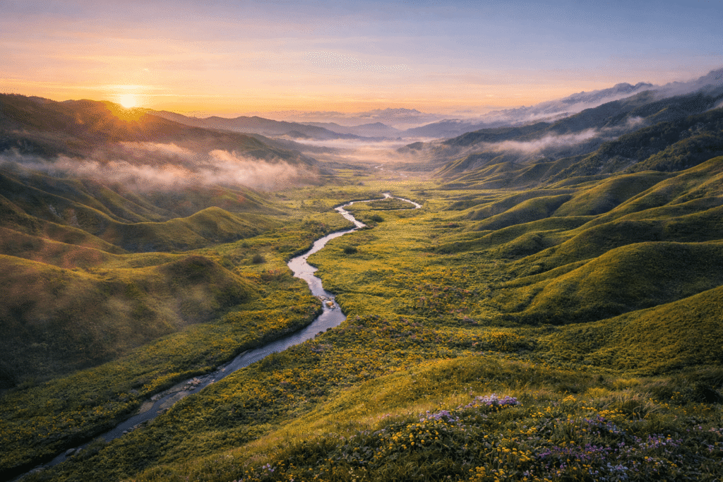 Dzukou Valley, Nagaland Dzukou Valley, Nagaland
