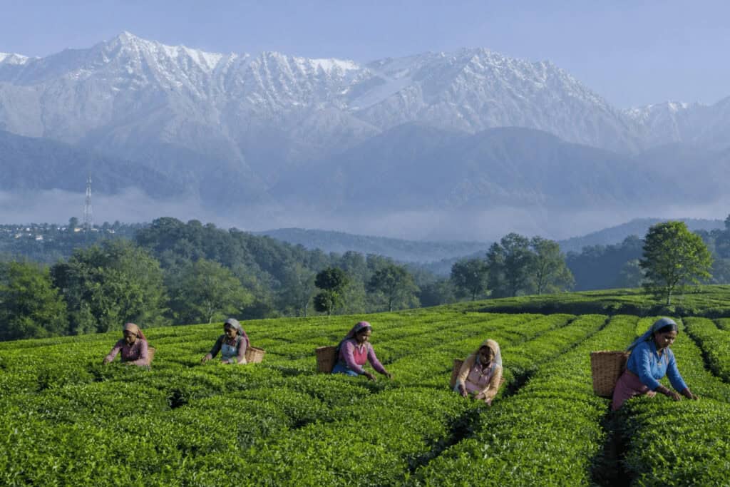 Explore Villages in Himachal Pradesh