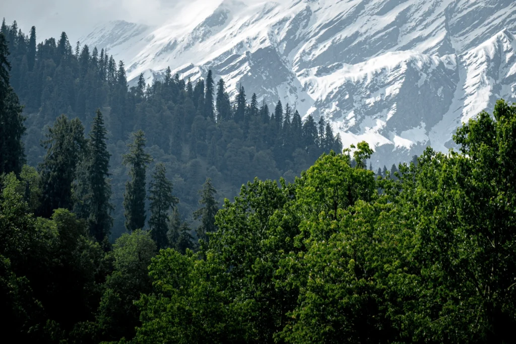 Kasol