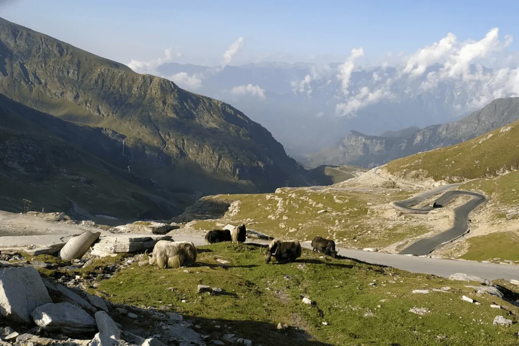 Understanding Rohtang Pass