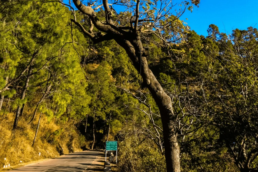 Places to Visit in Kasauli